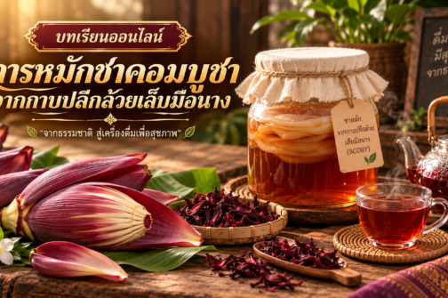 ChatGPT Image Sep 8, 2026, 05_48_54 AM.png